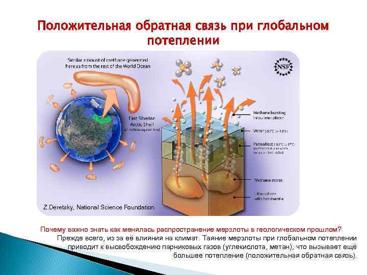 Положительная обратная связь при глобальном потеплении Z. Deretsky, National Science Foundation Почему важно знать