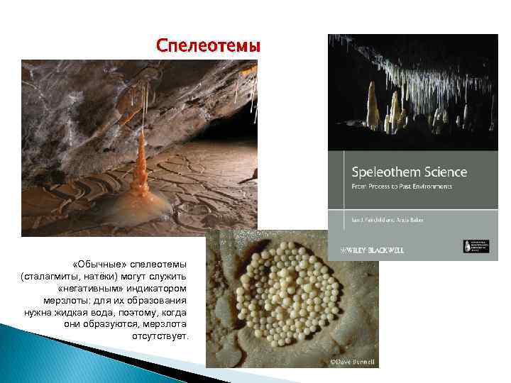 Спелеотемы «Обычные» спелеотемы (сталагмиты, натёки) могут служить «негативным» индикатором мерзлоты: для их образования нужна
