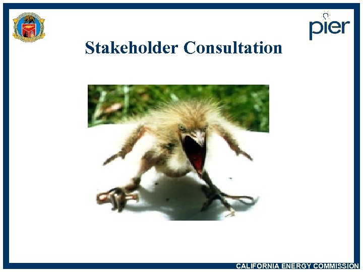 Stakeholder Consultation CALIFORNIA ENERGY COMMISSION 