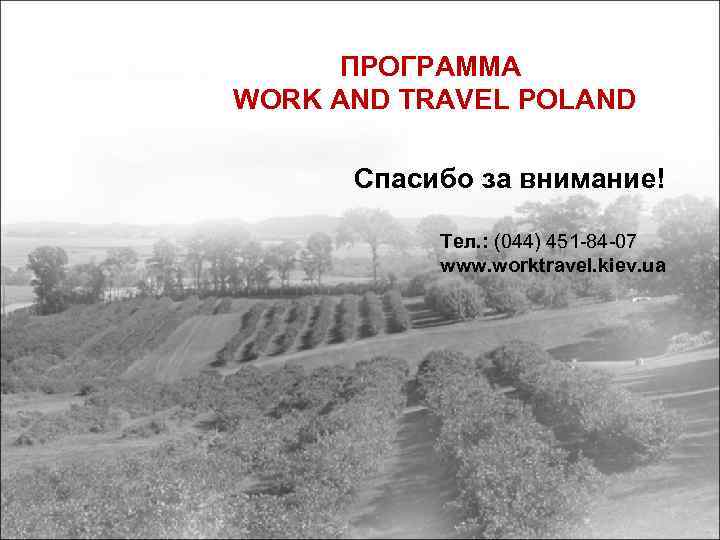 ПРОГРАММА WORK AND TRAVEL POLAND Спасибо за внимание! Тел. : (044) 451 -84 -07