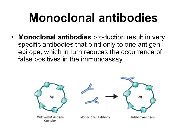 Monoclonal antibodies • Monoclonal antibodies production result in very specific antibodies that bind only