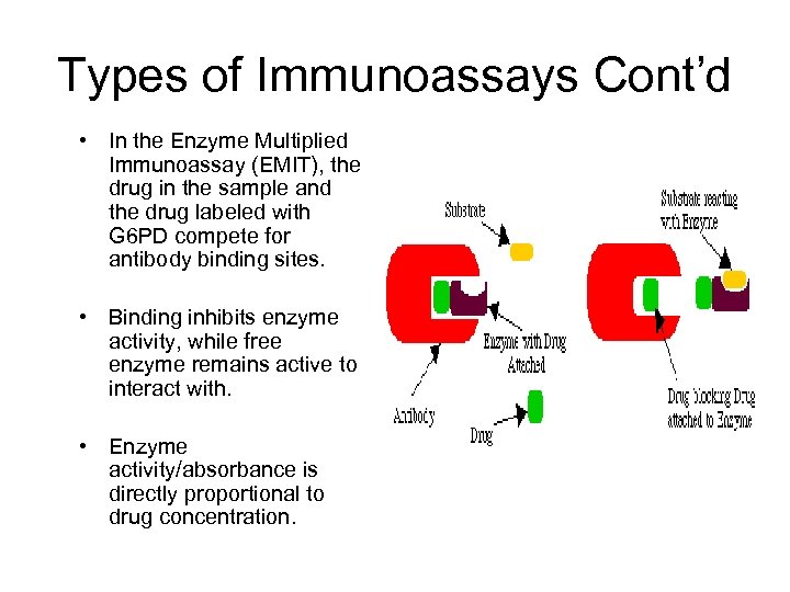 Types of Immunoassays Cont’d • In the Enzyme Multiplied Immunoassay (EMIT), the drug in