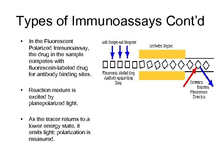 Types of Immunoassays Cont’d • In the Fluorescent Polarized Immunoassay, the drug in the