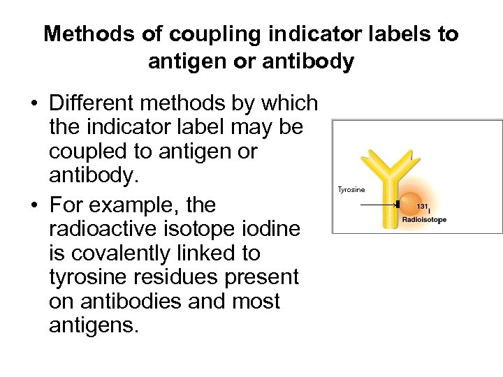 Methods of coupling indicator labels to antigen or antibody • Different methods by which