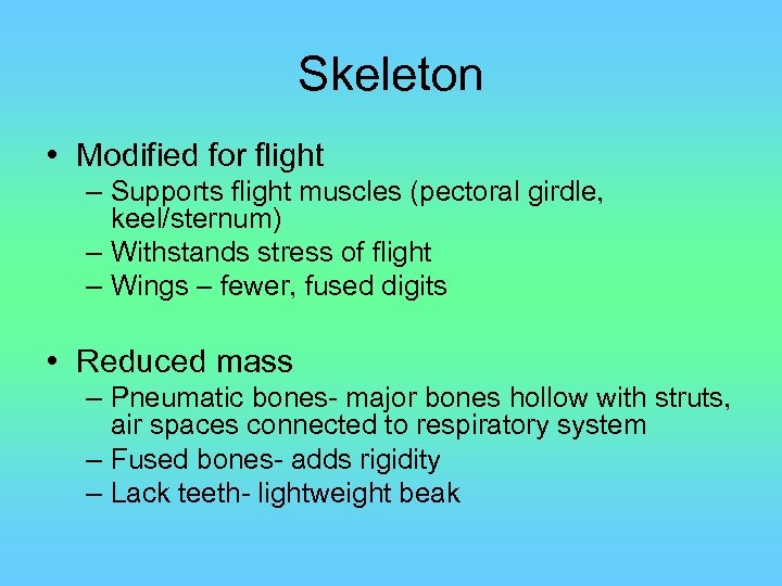 Skeleton • Modified for flight – Supports flight muscles (pectoral girdle, keel/sternum) – Withstands
