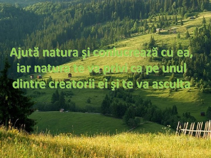 Ajută natura şi conlucrează cu ea, iar natura te va privi ca pe unul