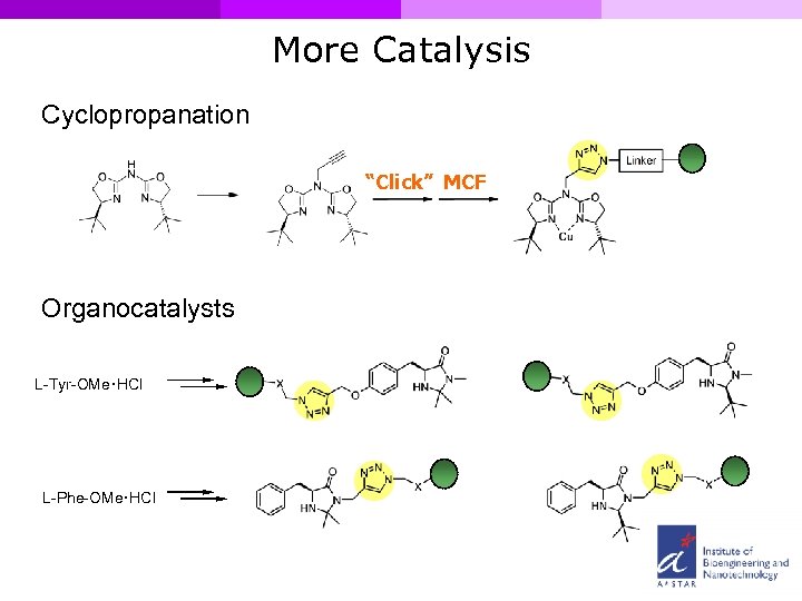 More Catalysis Cyclopropanation “Click” MCF Organocatalysts L-Tyr-OMe. HCl L-Phe-OMe. HCl 