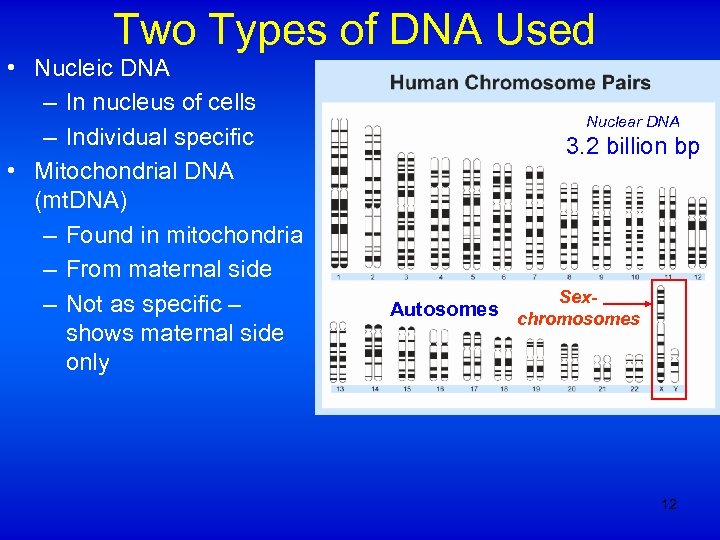 Two Types of DNA Used • Nucleic DNA – In nucleus of cells –