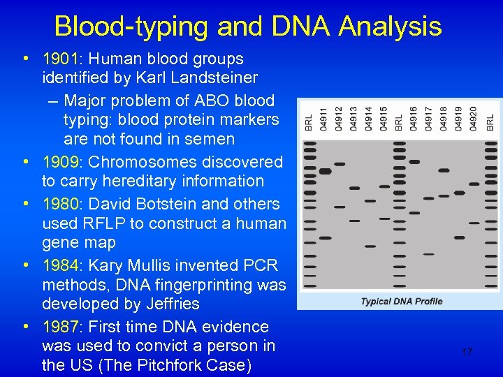 Blood-typing and DNA Analysis • 1901: Human blood groups identified by Karl Landsteiner –