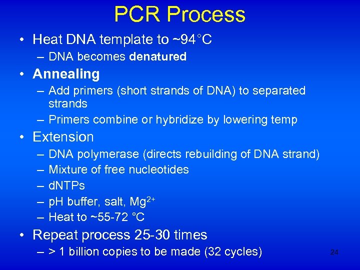 PCR Process • Heat DNA template to ~94°C – DNA becomes denatured • Annealing