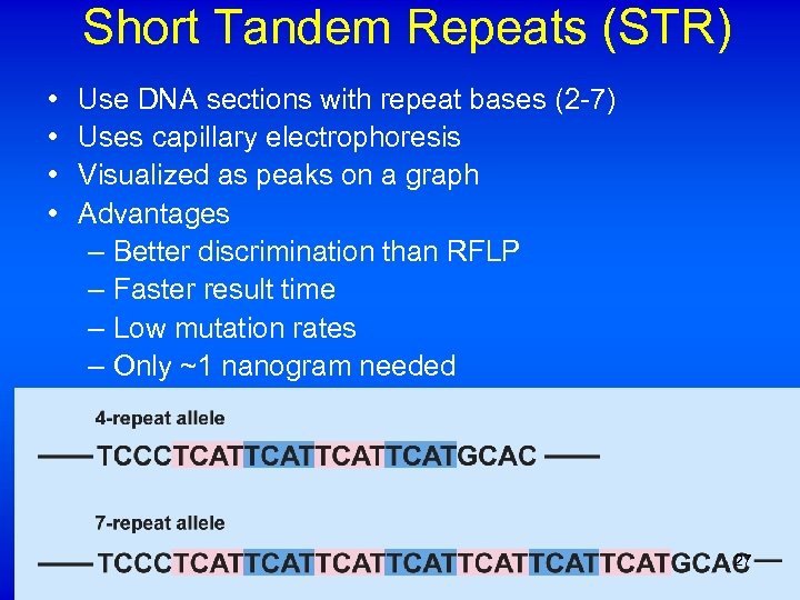 Short Tandem Repeats (STR) • • Use DNA sections with repeat bases (2 -7)