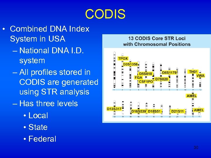 CODIS • Combined DNA Index System in USA – National DNA I. D. system