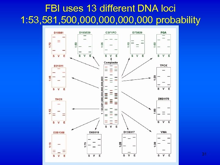 FBI uses 13 different DNA loci 1: 53, 581, 500, 000, 000 probability 31