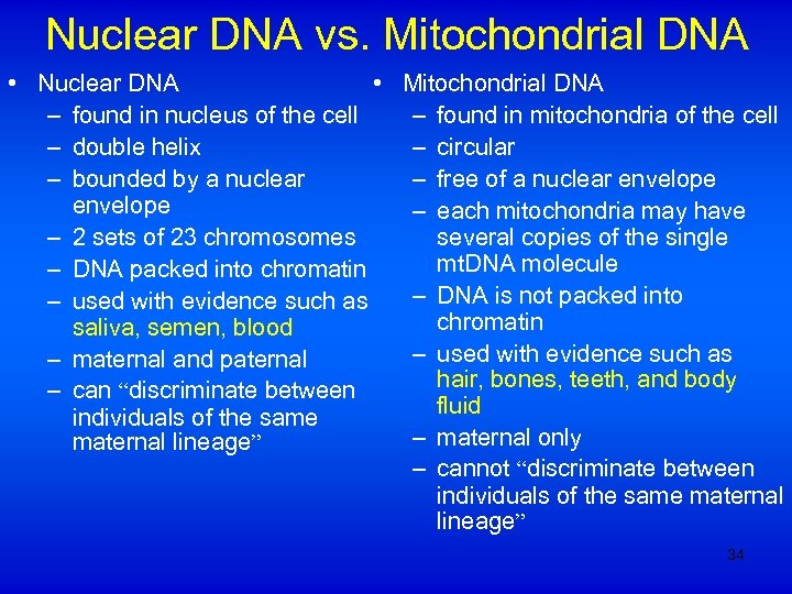 Nuclear DNA vs. Mitochondrial DNA • Nuclear DNA • Mitochondrial DNA – found in