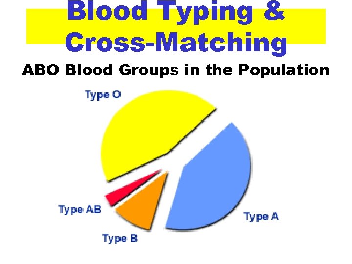 Blood Typing & Cross-Matching ABO Blood Groups in the Population 