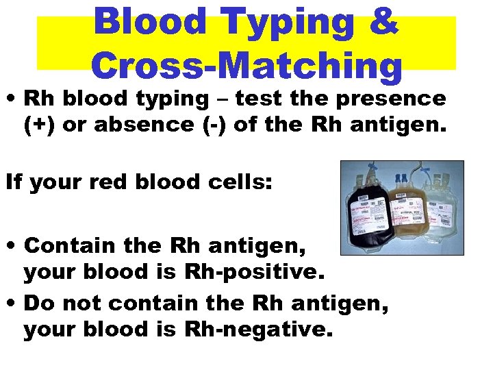 Blood Typing & Cross-Matching • Rh blood typing – test the presence (+) or