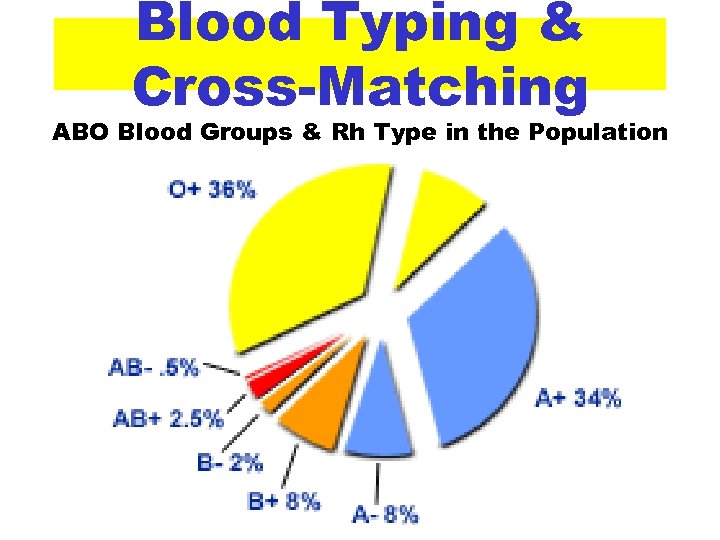 Blood Typing & Cross-Matching ABO Blood Groups & Rh Type in the Population 