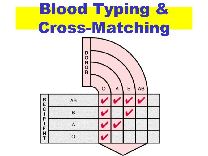 Blood Typing & Cross-Matching 