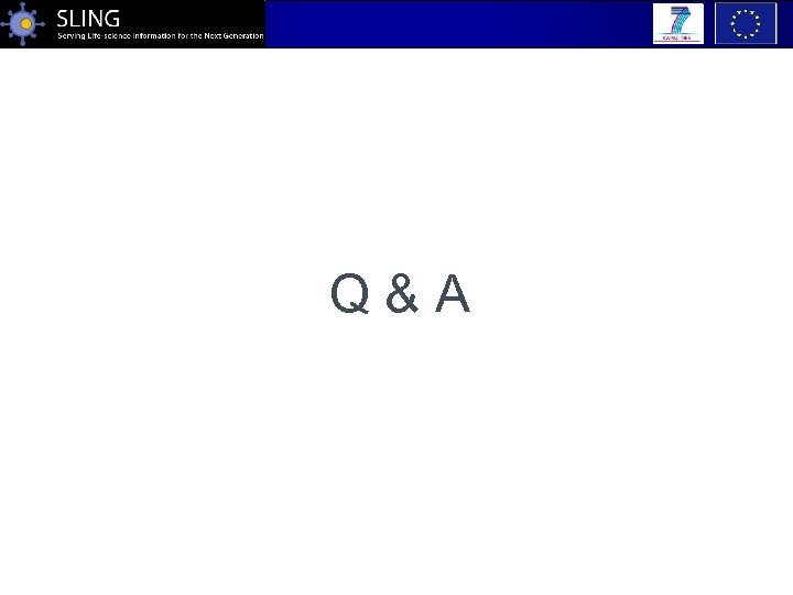 Q&A 