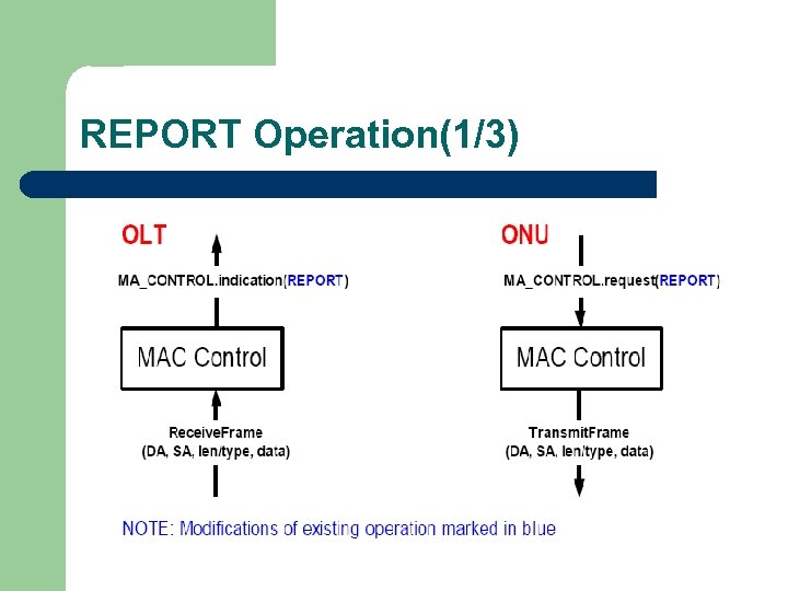 REPORT Operation(1/3) 