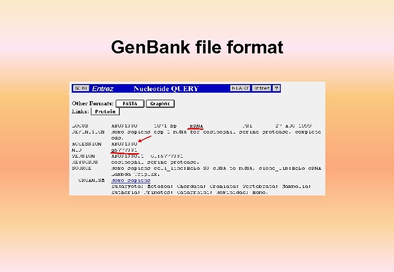 Gen. Bank file format 