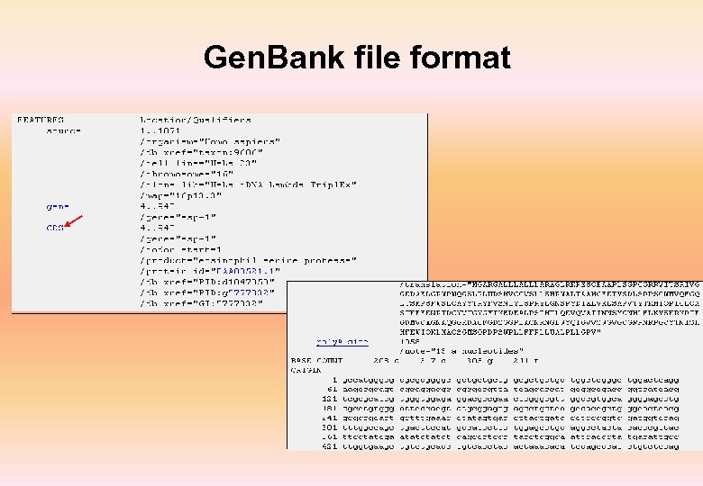 Gen. Bank file format 