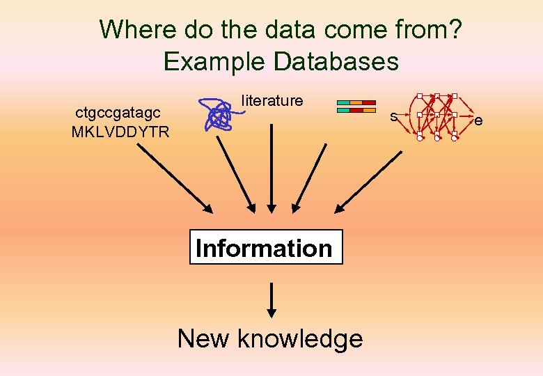 Where do the data come from? Example Databases ctgccgatagc MKLVDDYTR literature d 1 s