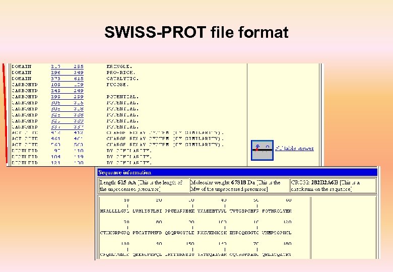 SWISS-PROT file format 