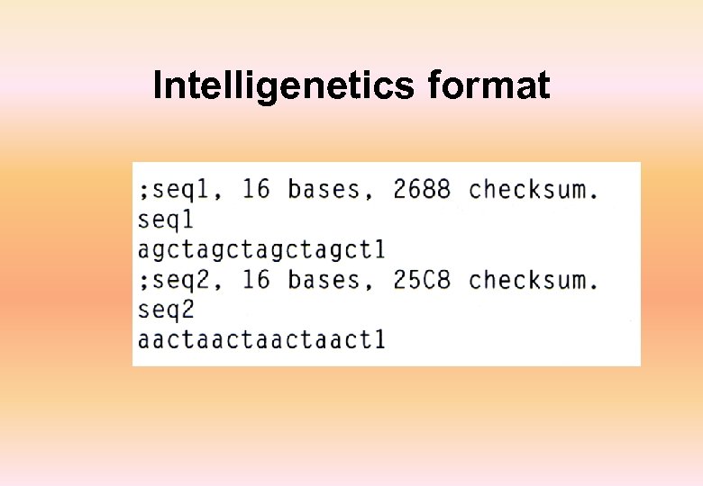Intelligenetics format 