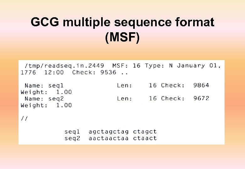 GCG multiple sequence format (MSF) 