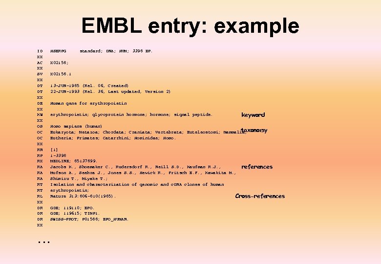 EMBL entry: example ID XX AC XX SV XX DT DT XX DE XX