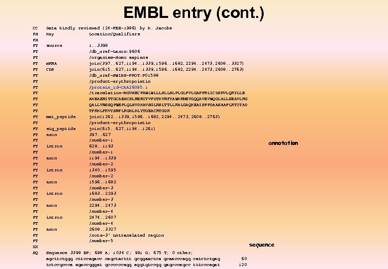 EMBL entry (cont. ) CC FH FH FT FT FT FT FT FT FT