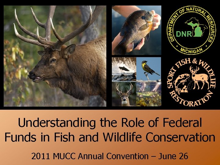 + Understanding the Role of Federal Funds in Fish and Wildlife Conservation 2011 MUCC