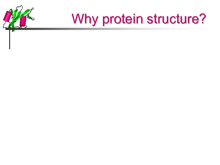 Why protein structure? 