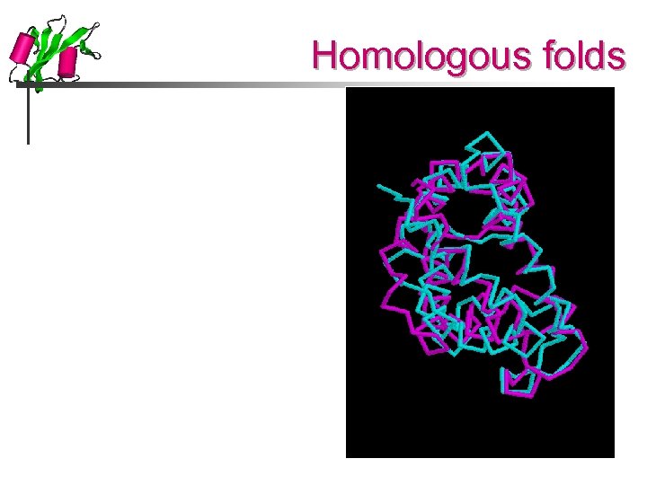 Homologous folds 