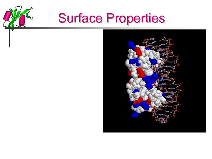 Surface Properties 