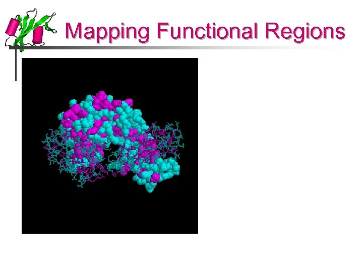 Mapping Functional Regions 