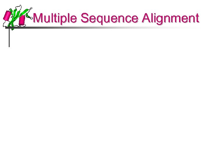 Multiple Sequence Alignment 