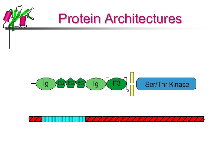 Protein Architectures 