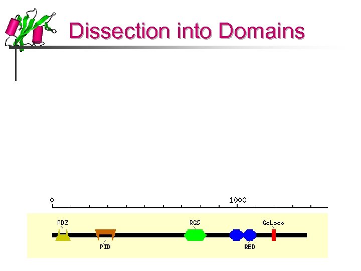 Dissection into Domains 