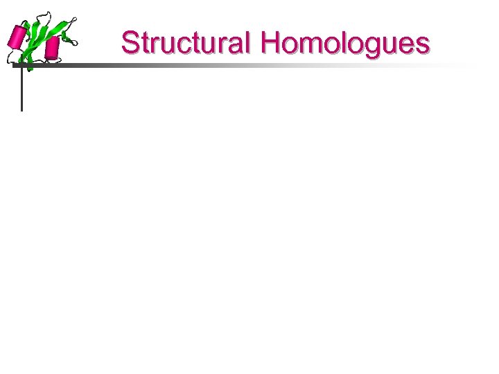 Structural Homologues 