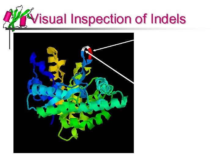 Visual Inspection of Indels 