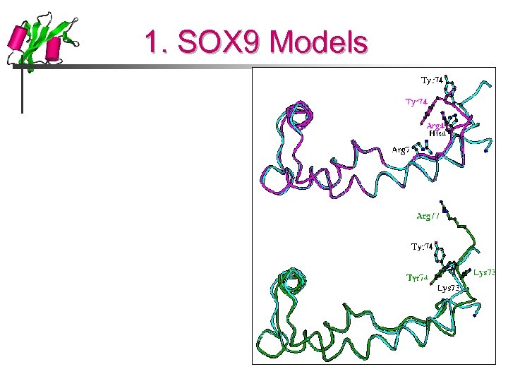 1. SOX 9 Models 