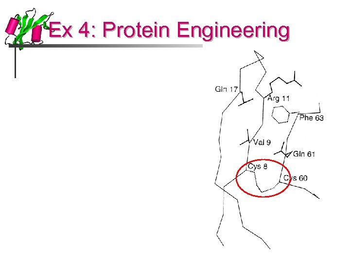 Ex 4: Protein Engineering 