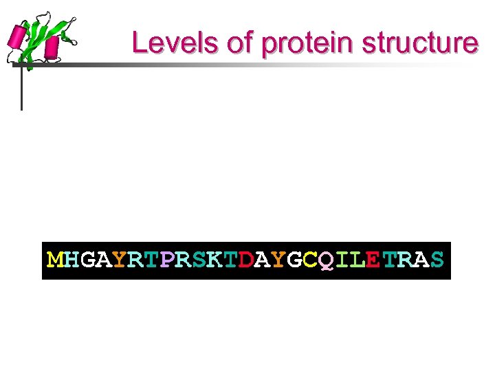 Levels of protein structure 