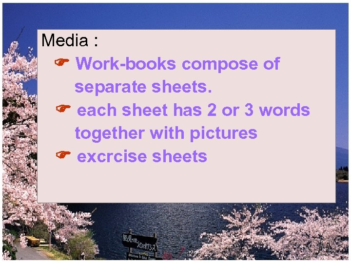 Media : Work-books compose of separate sheets. each sheet has 2 or 3 words