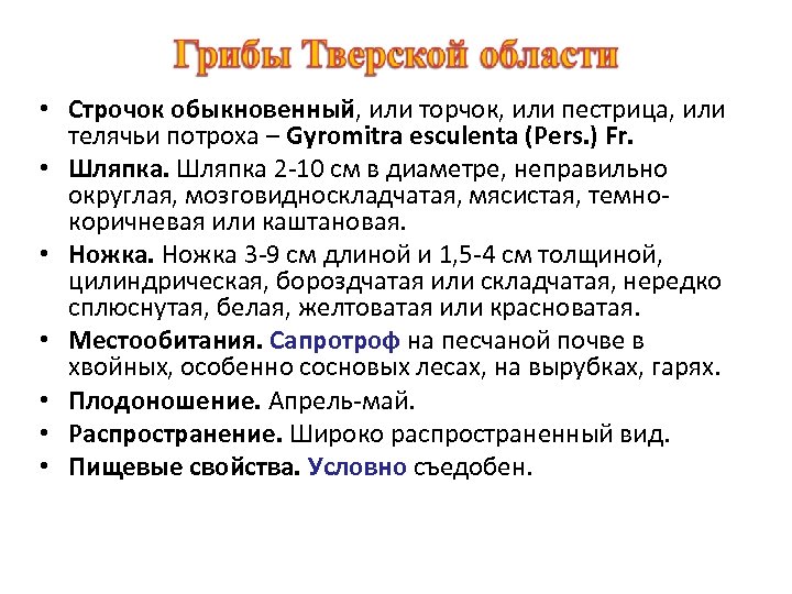  • Строчок обыкновенный, или торчок, или пестрица, или телячьи потроха – Gyromitra esculenta