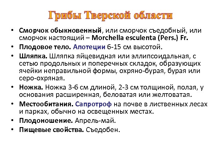  • Сморчок обыкновенный, или сморчок съедобный, или сморчок настоящий – Morchella esculenta (Pers.