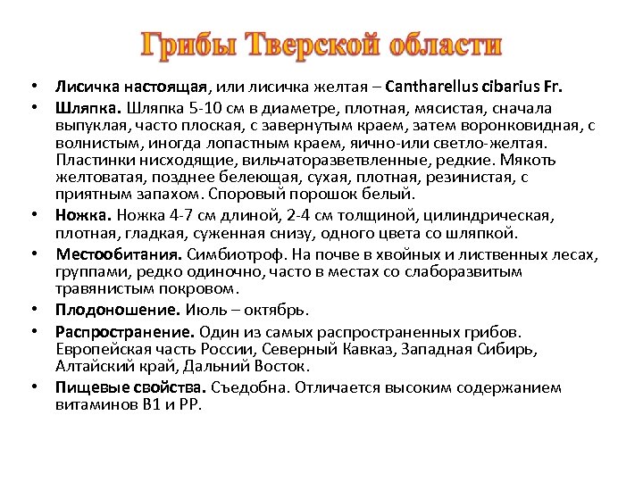  • Лисичка настоящая, или лисичка желтая – Cantharellus cibarius Fr. • Шляпка 5