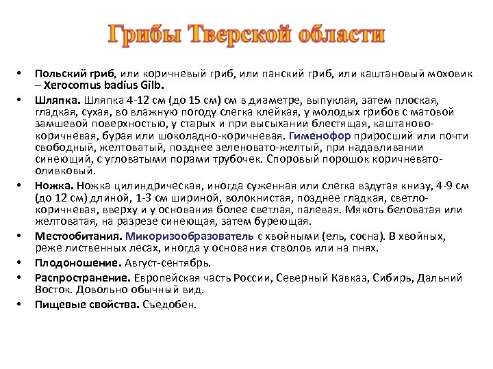  • • Польский гриб, или коричневый гриб, или панский гриб, или каштановый моховик